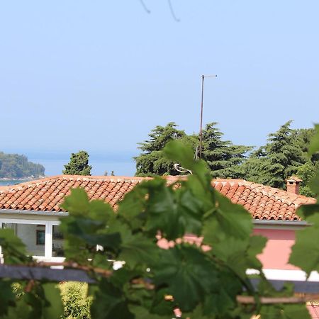 Apartments Horizont Ρόβινι Εξωτερικό φωτογραφία